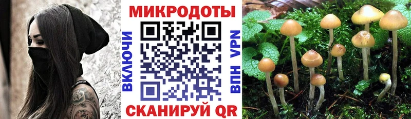 МЕГА   Катав-Ивановск  Галлюциногенные грибы Psilocybe 